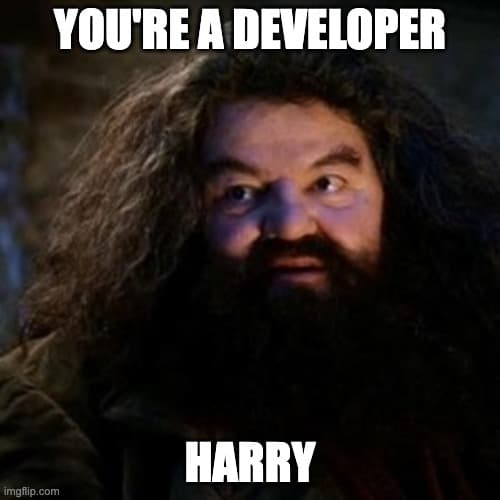 Javascript Wizarding World