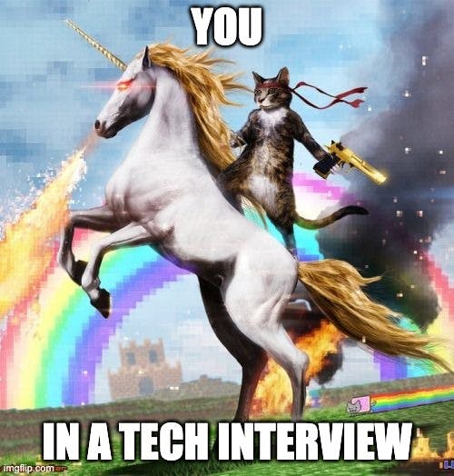 Tech interview cat